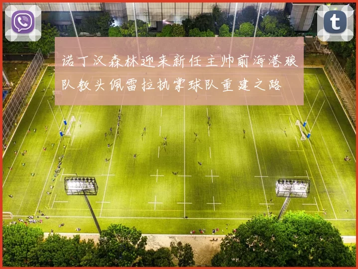 诺丁汉森林迎来新任主帅前海港狼队教头佩雷拉执掌球队重建之路